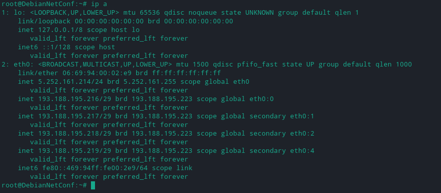 ip a command results