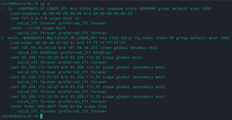 assigned IP addresses to your NIC